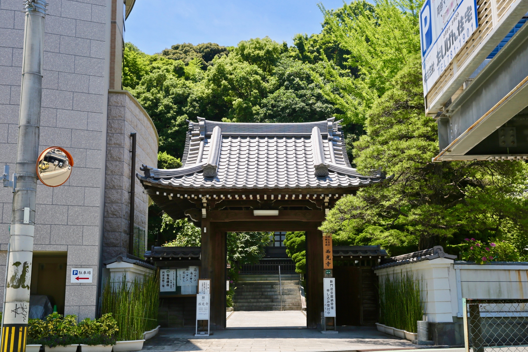 蓮如とルター: 宗教教団の原点 | 加藤 智見 |本 | 通販 | Amazon